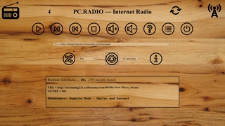 PC.RADIO_SKIN1